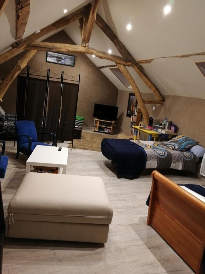 Apartament La Mansarde Des Sources Pougues-les-Eaux Zewnętrze zdjęcie